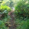 17-path down to and up from river